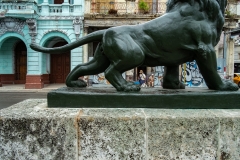 Lion on El Prado II